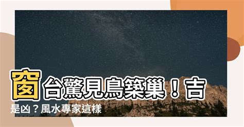 築巢 風水|鳥巢風水：2024趨吉避兇